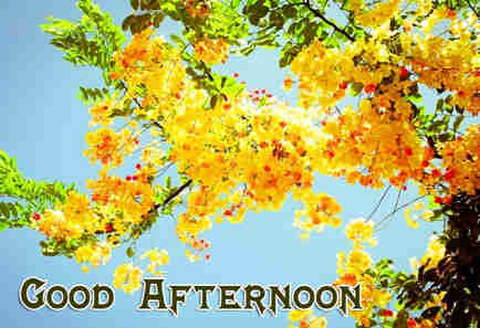 Good Afternoon Beautiful